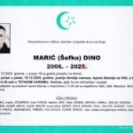 Marić Dino